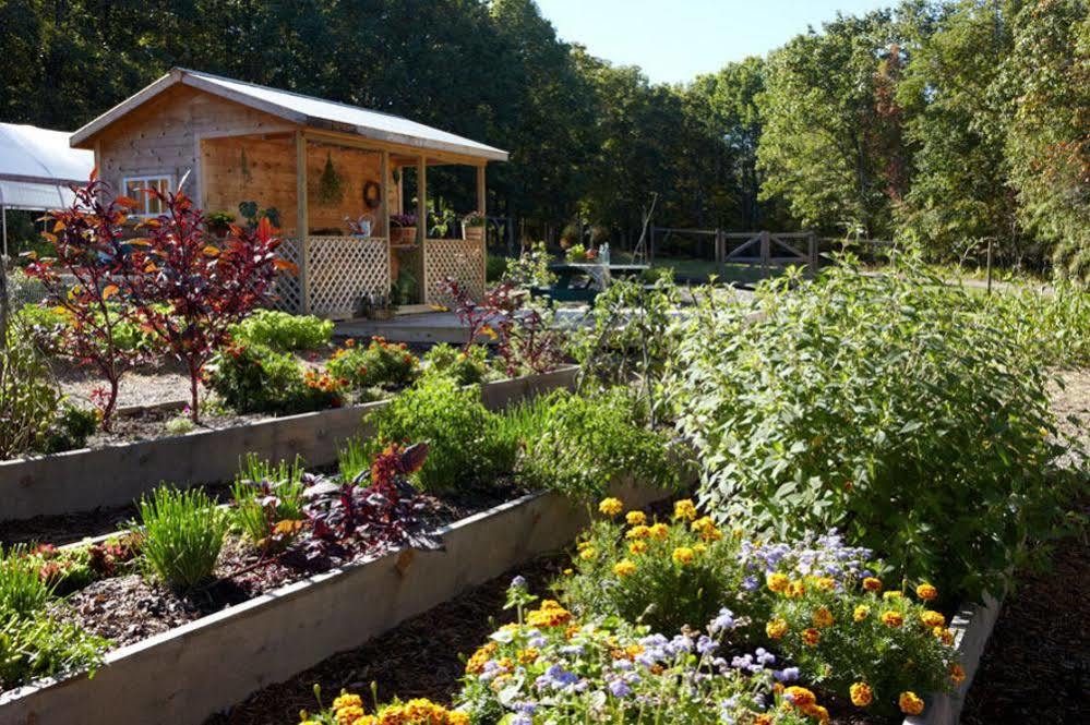 The Lodge At Woodloch Hawley Exterior photo